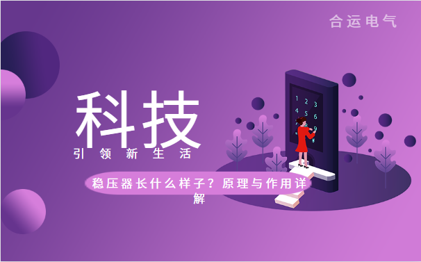 穩(wěn)壓器長(zhǎng)什么樣子<div   id=